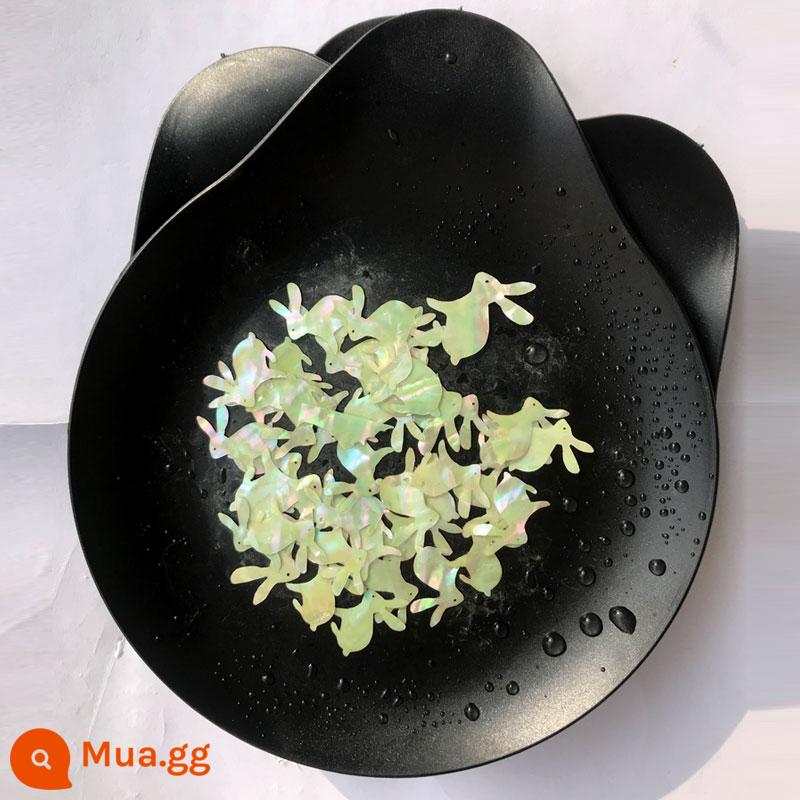 xà cừ handmade DIY chất liệu miếng dán vỏ bào ngư mảnh vỏ tự nhiên giấy nguyên liệu hình vỏ hoa chất liệu gói - Thỏ Trắng số 4 (1g)