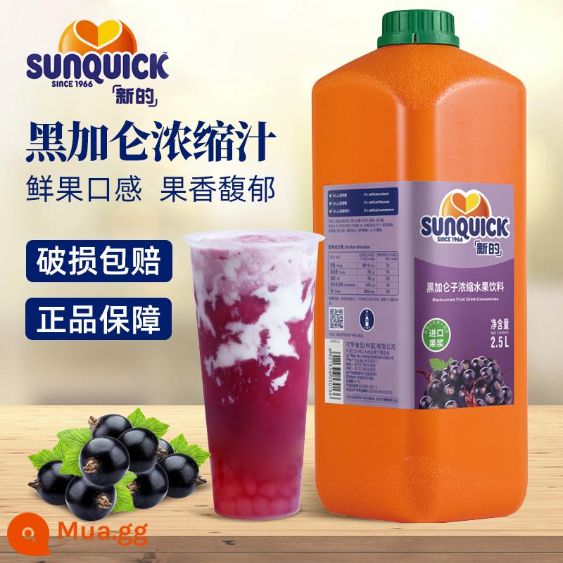 Nước ép cô đặc mới 2,5L chanh cam xoài dứa dâu nho đen bưởi thương mại nước ép tự phục vụ nhập khẩu - nước blackcurrant