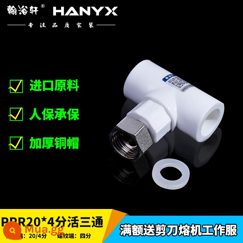 Khớp nối di động Hanyuxuan ppr dày 4 điểm 6 điểm phụ kiện đường ống máy nước nóng khuỷu tay trực tiếp phụ kiện nối ống nước nóng chảy - 20*4 điểm sống ba (thanh đồng cực dày và nắp đồng)