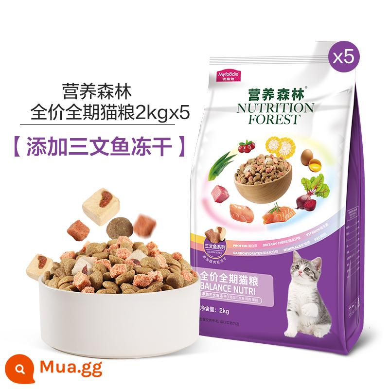 Thức ăn cho mèo trưởng thành và mèo con McFoody Nutrition Forest giá đầy đủ thức ăn bổ sung dinh dưỡng cho mèo trưởng thành và mèo con đầy đủ dinh dưỡng thức ăn đủ tháng cho mèo 10kg - [Thêm Cá Hồi Đông Khô] Thức Ăn Cho Mèo Nguyên Giá