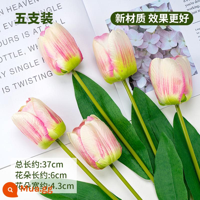 Lưới đỏ mô phỏng hoa tulip Trang trí bánh ngày lễ tình nhân chỉ có nữ thần sắc đẹp trang trí bánh cổ tích nhỏ - Mô hình vải hoa tulip hồng 10 miếng