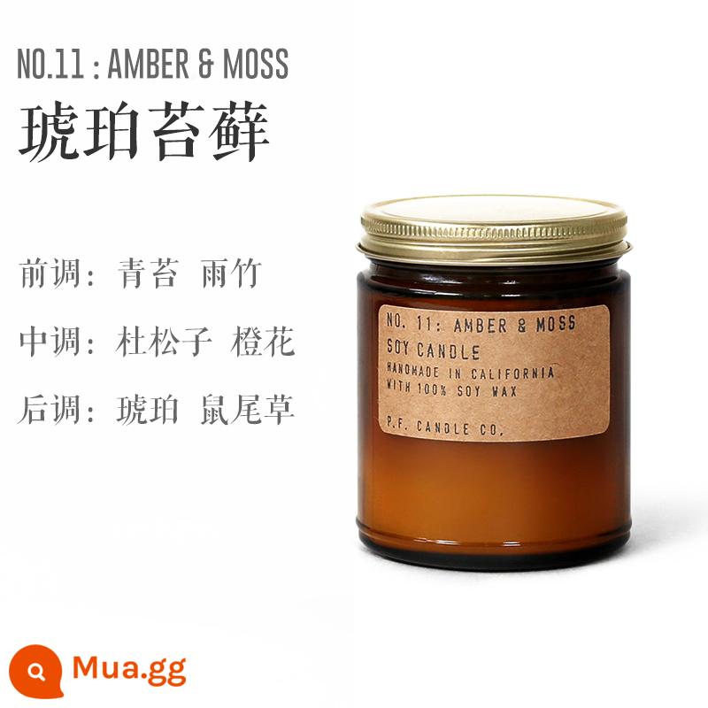 nến thơm pfcandle pf trong nhà hương thơm lâu dài P.F.CANDLE CO bluebox quà tặng sinh nhật - Rêu hổ phách-204g