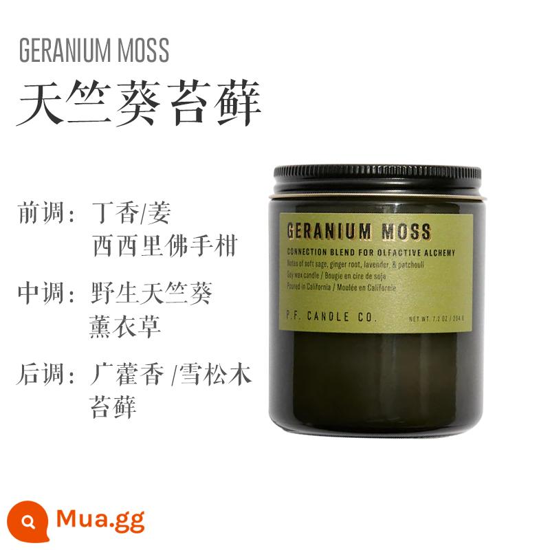 nến thơm pfcandle pf trong nhà hương thơm lâu dài P.F.CANDLE CO bluebox quà tặng sinh nhật - Rêu phong lữ-204g