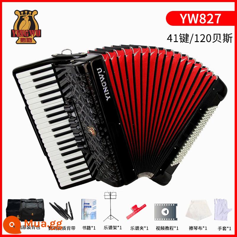 Vẹt đàn accordion nhạc cụ người lớn mới bắt đầu chuyên nghiệp 60/96/120 trẻ em 48 bass chơi đàn accordion - [120 bass 41 phím] YW827 đen + gói quà