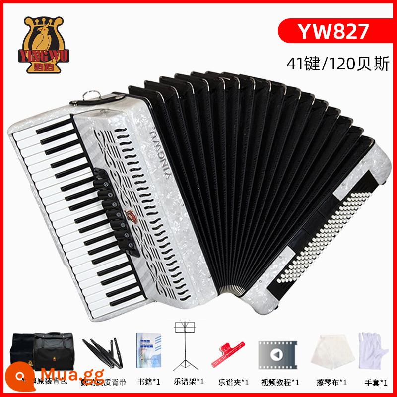 Vẹt đàn accordion nhạc cụ người lớn mới bắt đầu chuyên nghiệp 60/96/120 trẻ em 48 bass chơi đàn accordion - [120 bass 41 phím] YW827 trắng + gói quà