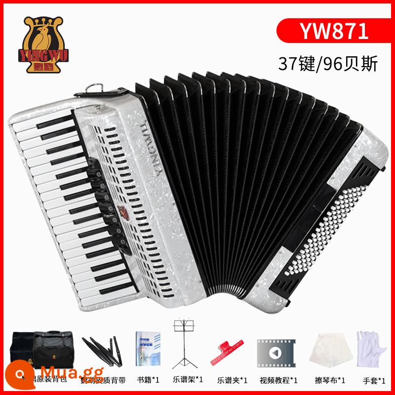 Vẹt đàn accordion nhạc cụ người lớn mới bắt đầu chuyên nghiệp 60/96/120 trẻ em 48 bass chơi đàn accordion - [96 bass 37 phím] YW871 trắng + gói quà