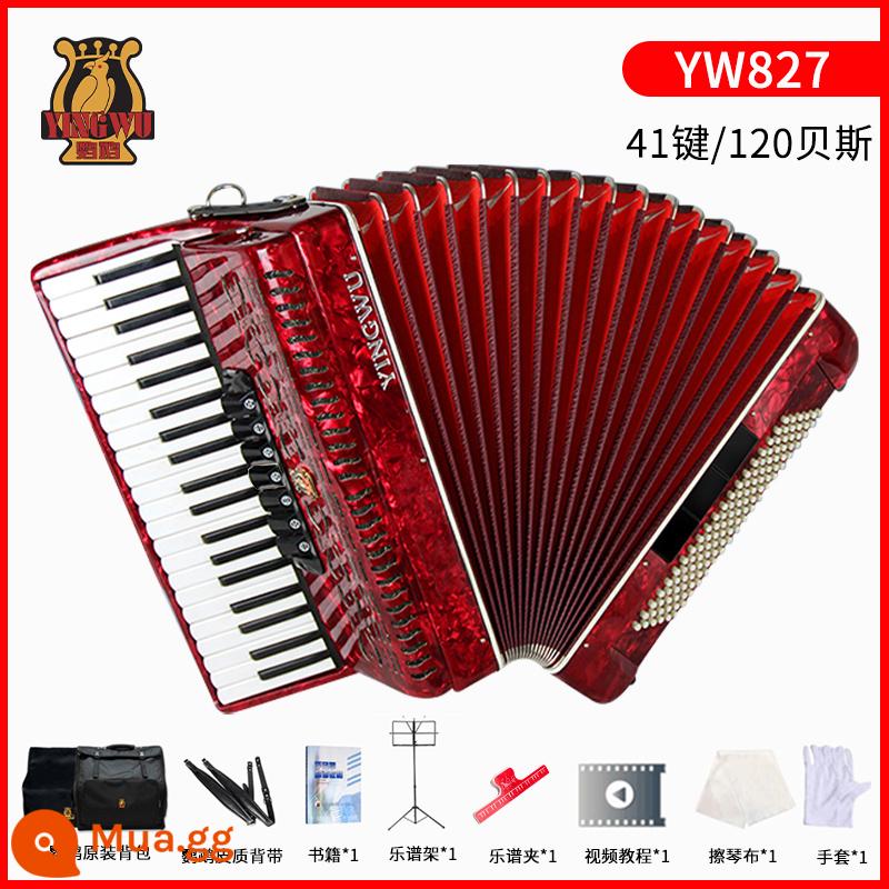 Vẹt đàn accordion nhạc cụ người lớn mới bắt đầu chuyên nghiệp 60/96/120 trẻ em 48 bass chơi đàn accordion - [120 bass 41 phím] YW827 đỏ + gói quà