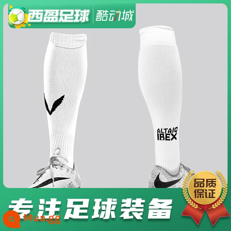 Xiying Football Chamois Player Edition Vớ đến đầu gối Vớ bóng đá eo dài - Da trắng (trẻ em 35-40)