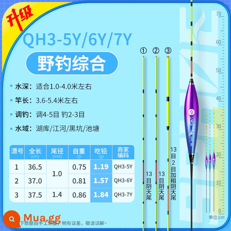 Phao câu cá hoang dã độ nhạy cao Xiaofengxian QH táo bạo và bắt mắt nước nông cá diếc cá chép cá chép bạc bộ phao đầy đủ - Câu cá hoang dã toàn diện/Chì≈1,2-1,8g [Đuôi Yuntian] Số 5/6/7