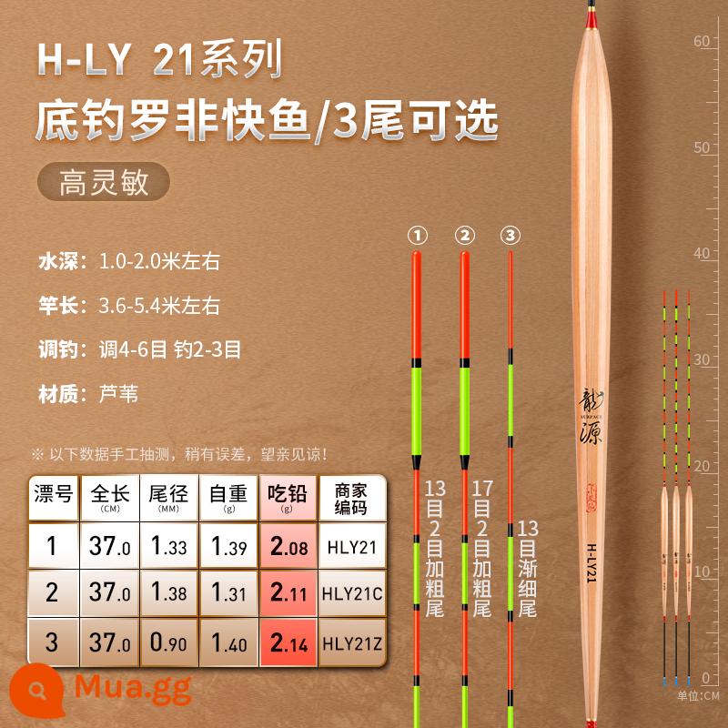 Phao sậy Xiaofengxian Longyuan độ nhạy cao nhẹ miệng cá diếc phao sậy đậm và bắt mắt phao cá lớn đích thực - (Câu cá đáy Luofei Kuaiyu) Chì ≈ 2,1 gram [3 đuôi tùy chọn] H-LY21