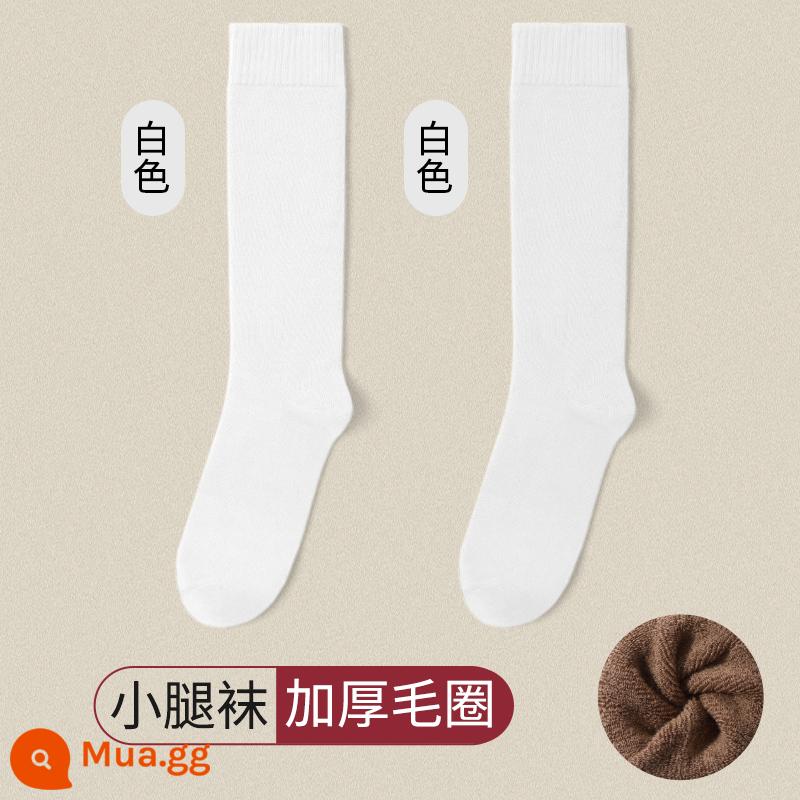 Vớ Dày Nam Mùa Đông Plus Nhung Ống Dài Ấm Giữa Ống Vớ Nam Khăn Cotton Mùa Đông Dày Vớ Nam bông Nguyên Chất - Tất bê nhung dày (2 đôi màu trắng), tổng cộng 2 đôi