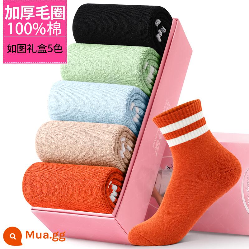 Vớ Dày Nam Mùa Đông Plus Nhung Ống Dài Ấm Giữa Ống Vớ Nam Khăn Cotton Mùa Đông Dày Vớ Nam bông Nguyên Chất - Mẫu nữ sọc nhung dày (mỗi loại 5 màu), tổng cộng 5 đôi