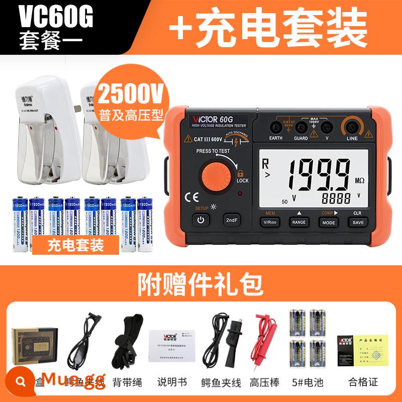 Máy kiểm tra điện trở cách điện Victory VC60B+ Digital Megger 500v1000 Máy phát hiện thông minh Thợ điện Shaker - VC60G đạt tiêu chuẩn bộ sạc số 5 (2 sạc 8 sạc)