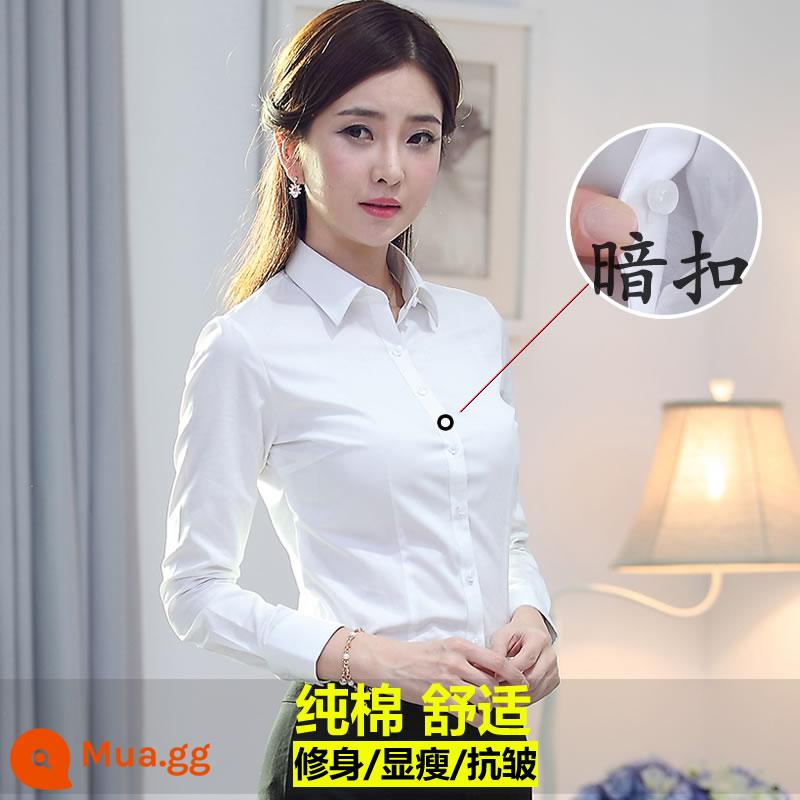 Áo sơ mi trắng cotton nguyên chất chất lượng cao dành cho nữ dài tay khí chất chuyên nghiệp quần áo làm việc mùa xuân và mùa hè trang phục công sở áo sơ mi nữ - Trắng [cotton dài tay]