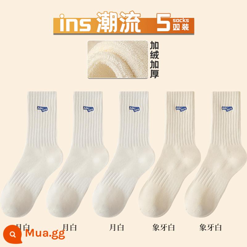 Vớ nam cotton nguyên chất giữa ống mùa đông Plus nhung dày vớ cotton khử mùi thấm hút mồ hôi thu đông thể thao bé trai vớ dài - [5 đôi] Combo F