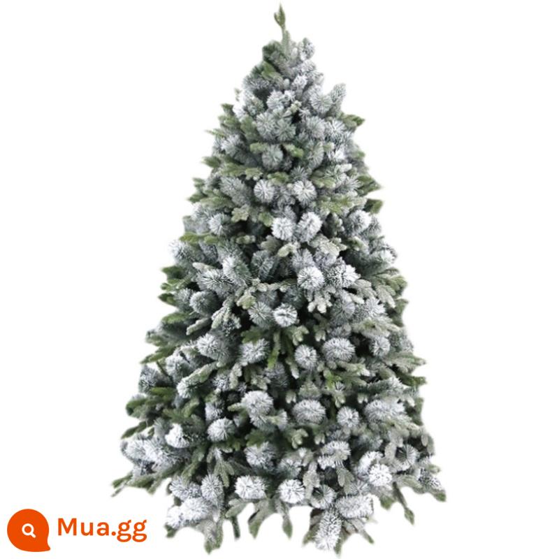 Phiên bản Mỹ của lá thông PE Cây thông Noel cửa sổ sang trọng Cây tuyết được mã hóa Mô phỏng cây thông Noel Cây thông Noel Trang trí Giáng sinh - Kim thông PE+Mã hóa cao cấp 1,2 mét