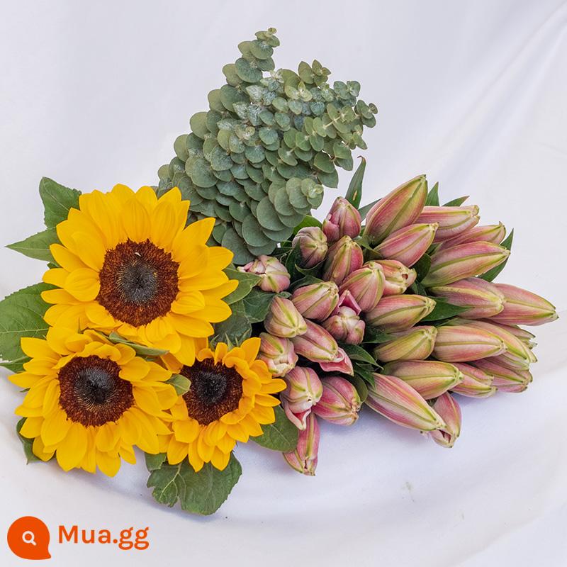 Vân Nam Đế Hoa Tóc Thẳng Nước Hoa Lily Tươi Cắt Hoa Hoa Thật Hoa Hướng Dương Hoa Hồng Nhà Bình Thủy Canh - 5 bông hoa huệ + 3 cành hướng dương + 10 lá bạch đàn