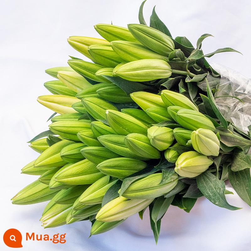 Vân Nam Đế Hoa Tóc Thẳng Nước Hoa Lily Tươi Cắt Hoa Hoa Thật Hoa Hướng Dương Hoa Hồng Nhà Bình Thủy Canh - 20 bông huệ vàng