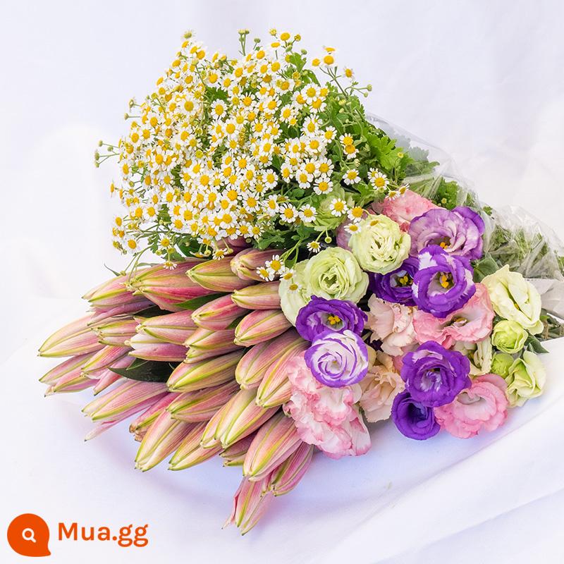 Vân Nam Đế Hoa Tóc Thẳng Nước Hoa Lily Tươi Cắt Hoa Hoa Thật Hoa Hướng Dương Hoa Hồng Nhà Bình Thủy Canh - 5 hoa huệ + 10 hoa cát tường + 5 nhánh hoa cúc