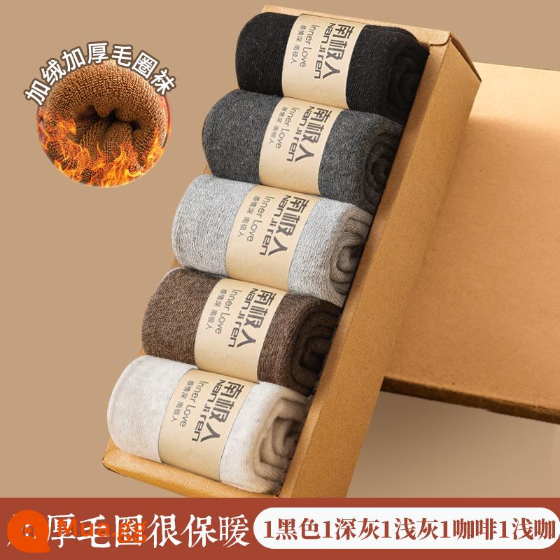 Vớ Nam Cực Mùa thu và vớ len mùa thu, vớ cotton ấm, sàn nhà, vớ với vớ dày nhung - [Tất terry dày 5 đôi] 1 đen 1 xám đậm 1 xám nhạt 1 cà phê 1 cà phê nhạt