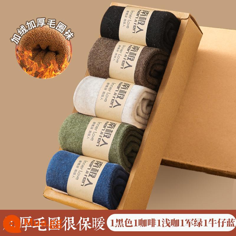 Vớ Nam Cực Mùa thu và vớ len mùa thu, vớ cotton ấm, sàn nhà, vớ với vớ dày nhung - [Tất terry dày 5 đôi] 1 đen 1 cà phê 1 cà phê nhạt 1 xanh quân đội 1 xanh denim