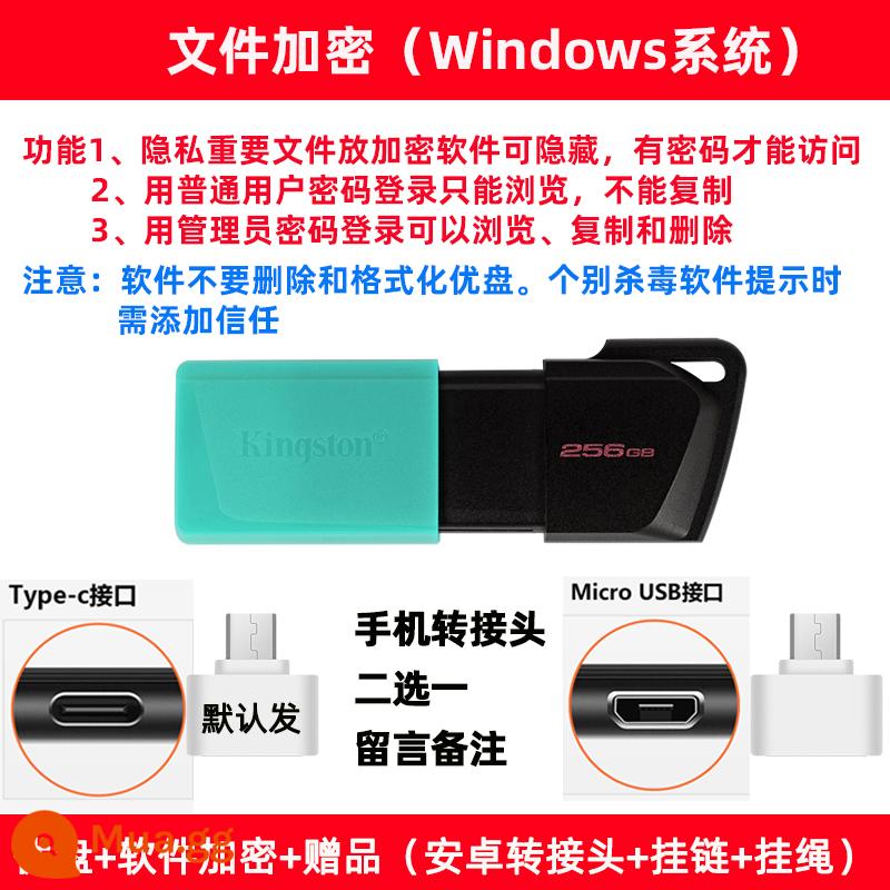 Kingston32g Ổ đĩa U DTXM tốc độ cao và dung lượng lớn 128g nắp trượt ô tô Ổ đĩa flash USB mã hóa Đĩa U 64g điện thoại di động Ổ đĩa U - Mã hóa 256GB + quà tặng miễn phí