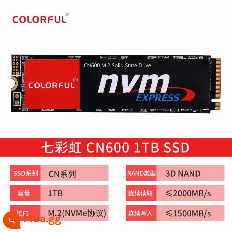 Đầy màu sắc CN600 CN700 512G/1T/2T ổ cứng thể rắn SSD máy tính để bàn NVMe máy tính xách tay 4TB - CN600 1T đọc 3000 MB/giây