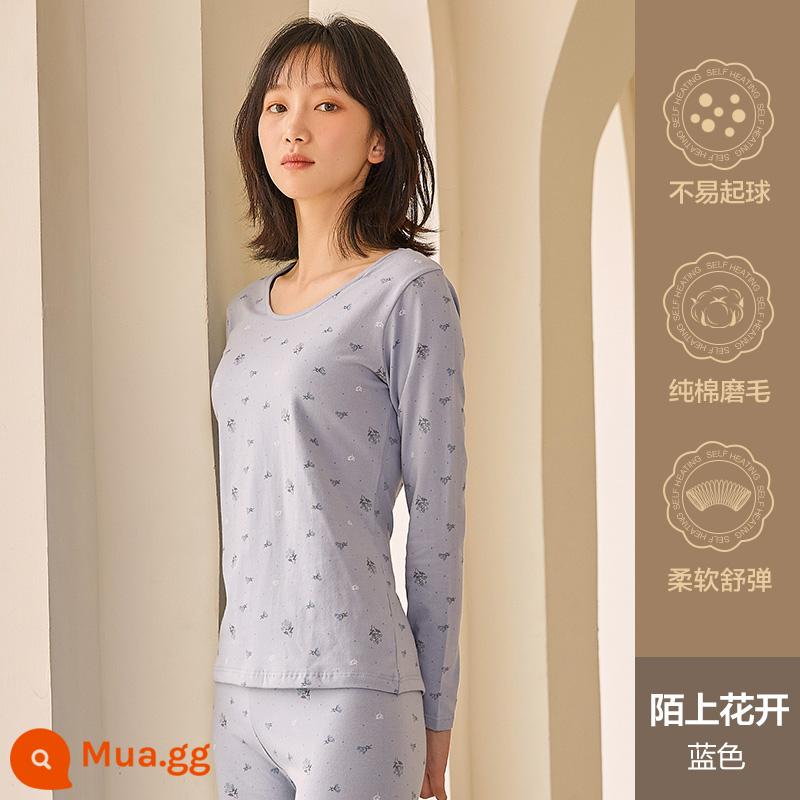 Hengyuanxiang quần áo mùa thu vệ sinh quần nữ cotton nguyên chất phù hợp với sưởi ấm quần áo cô gái học sinh đáy áo len cotton mỏng phần mùa đông - Hoa nở trên Moshang (màu xanh)