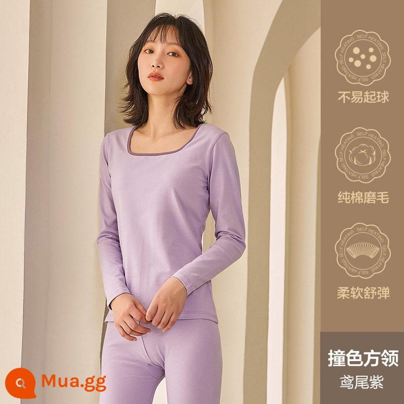 Hengyuanxiang quần áo mùa thu vệ sinh quần nữ cotton nguyên chất phù hợp với sưởi ấm quần áo cô gái học sinh đáy áo len cotton mỏng phần mùa đông - Cổ vuông màu tương phản (màu tím iris)