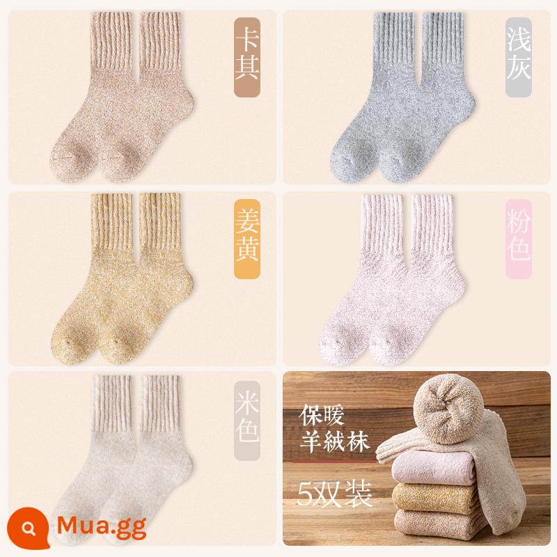 Vớ len nữ mùa đông Plus nhung dày giữa ống tất mùa thu đông ấm sàn cashmere ngủ giam tất sau sinh - 5 đôi [Bộ giữ nhiệt cashmere 3260] 1 hồng 1 kaki 1 nghệ 1 be 1 xám nhạt