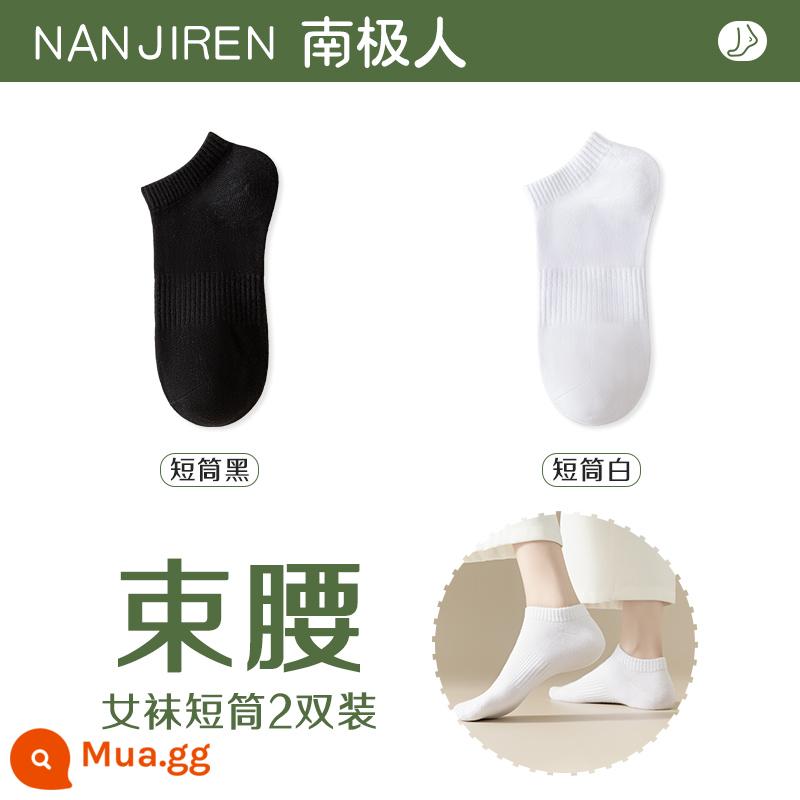 Tất nữ Tất dài đến bắp chân nữ mùa xuân thu đông Tất cotton nguyên chất không xương Tất thể thao mùa hè Tất ngắn nữ màu trắng nam - [Nòng ngắn] đen + trắng