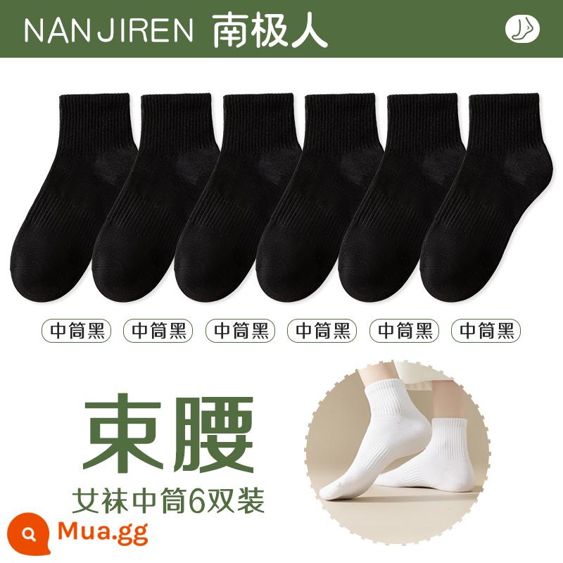 Tất nữ Tất dài đến bắp chân nữ mùa xuân thu đông Tất cotton nguyên chất không xương Tất thể thao mùa hè Tất ngắn nữ màu trắng nam - [thùng giữa] 6 màu đen