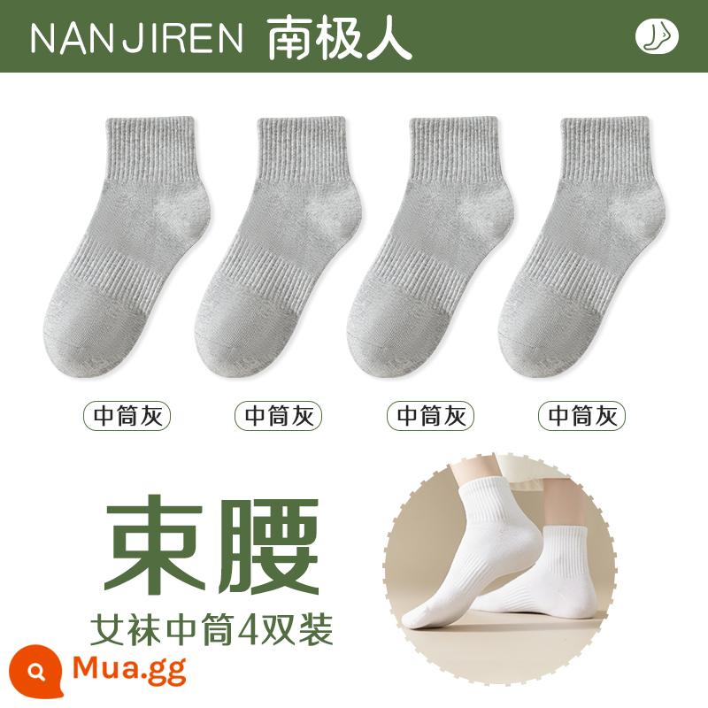 Tất nữ Tất dài đến bắp chân nữ mùa xuân thu đông Tất cotton nguyên chất không xương Tất thể thao mùa hè Tất ngắn nữ màu trắng nam - [Thùng giữa] 4 màu xám