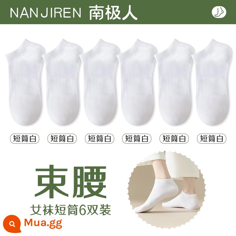 Tất nữ Tất dài đến bắp chân nữ mùa xuân thu đông Tất cotton nguyên chất không xương Tất thể thao mùa hè Tất ngắn nữ màu trắng nam - [Nòng ngắn] 6 màu trắng