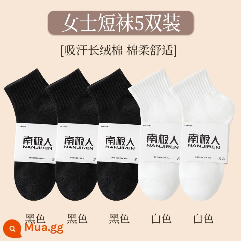 Vớ trắng Zhuji Vớ ngắn nữ mùa thu và mùa đông Vớ ống đáy bằng cotton nguyên chất mùa xuân và mùa thu Chất khử mùi màu tinh khiết Vớ cotton thấm hút mồ hôi cho nữ - [5 đôi] 3 đen + 2 trắng