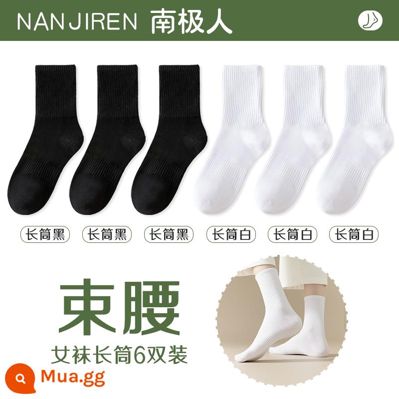 Tất nữ Tất dài đến bắp chân nữ mùa xuân thu đông Tất cotton nguyên chất không xương Tất thể thao mùa hè Tất ngắn nữ màu trắng nam - [Ống dài] 3 đen + 3 trắng