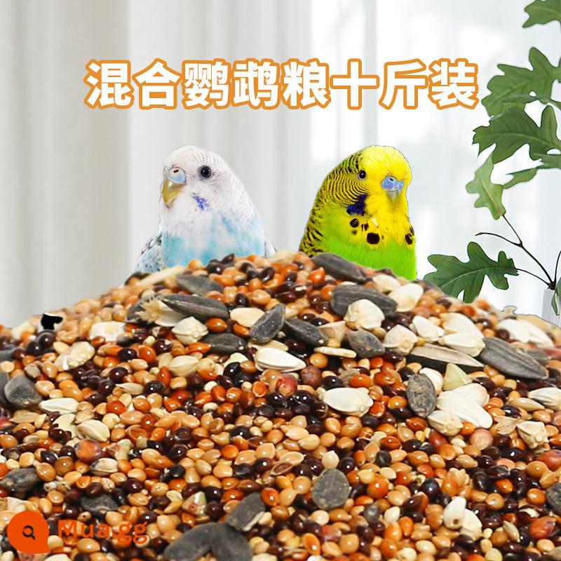 Tiger Leather Parrot Feed Xuanfeng Bird Food với Shell, Huangguzi Xiaomi Peony Birds Five -Color hỗn hợp Bird - 5000g