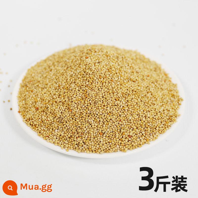 Bird Grain Shinhuang Thung lũng vẹt ăn ăn Food Food Birds With Shelling Xiaomi Tiger Skin Xuanfeng Peony Food 5 Catties - 1500g