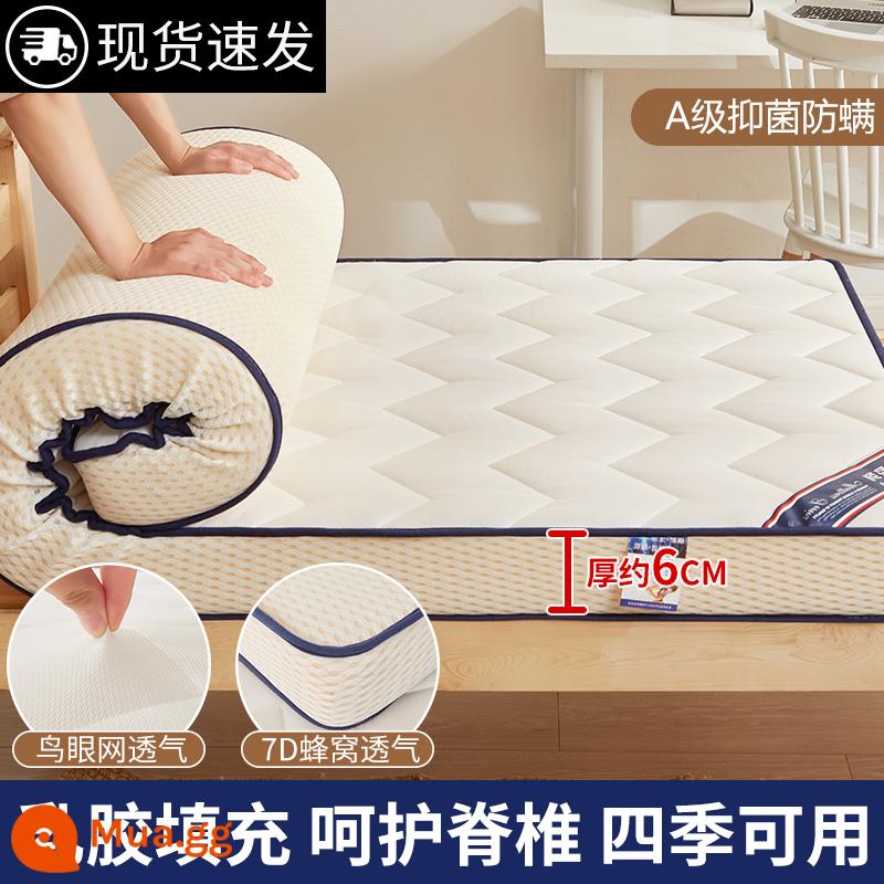 Nệm độn ký túc xá sinh viên đơn tatami mat hộ gia đình chăn cứng mat mùa đông cho thuê đặc biệt mat quilt - Cao 6cm - Loại M ba chiều - Màu trắng nguyên bản [lớp cao su - lưới thoáng khí mắt chim - nệm bốn mùa]