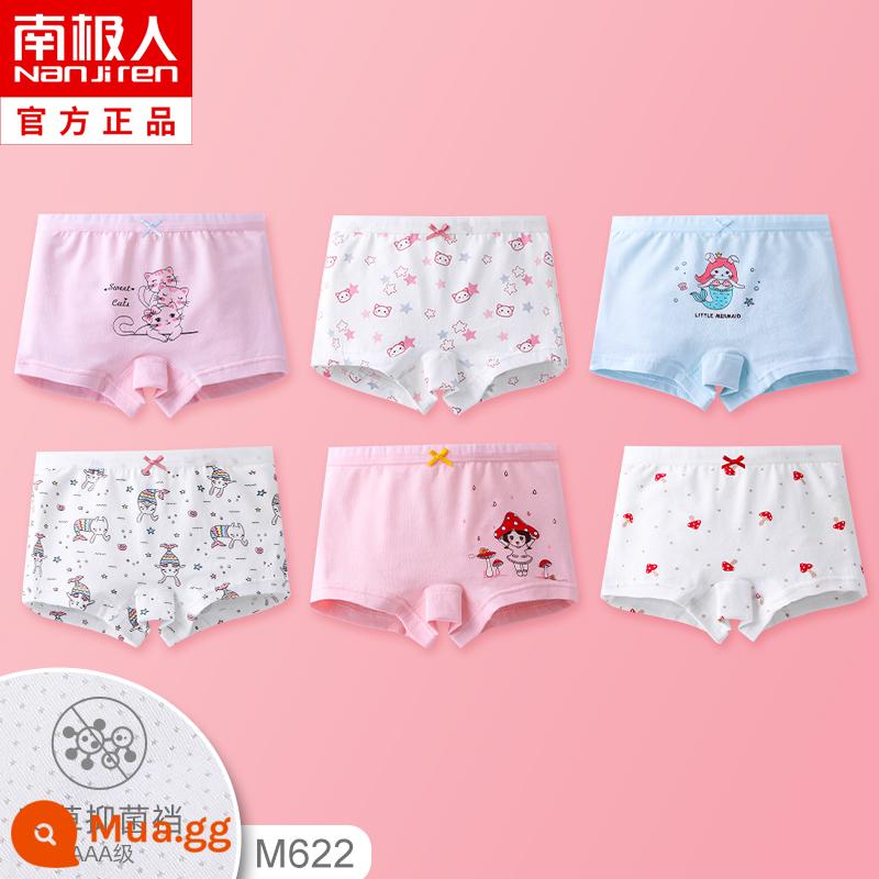 Quần lót trẻ em bé gái bé gái quần đùi cotton nguyên chất 100% cotton bé gái quần đùi bé trai lớn không có pp - Ba chú mèo con - 6 miếng [thanh bên trong kháng khuẩn - không kẹp pp] Giảm 5 miếng cho 2 bộ