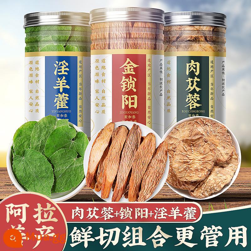 Cistanche Herb Epimedium Cynomorium Nhân sâm Đỗ trọng Maca Goji Berry Maca Cuscuta Seed Morinda officinalis Mâm xôi Thuốc thảo dược Trung Quốc - Ba báu vật dành cho nam giới (Lát tươi Alxa)