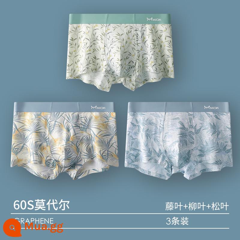 Catman Quần Lót Nam Bé Trai Quần Short Cotton Modal 100% Cotton Tập Thanh Niên Rời Thoáng Khí Quần Boxer - 3 gói [60S Modal + Kháng khuẩn Graphene] Kết hợp 13