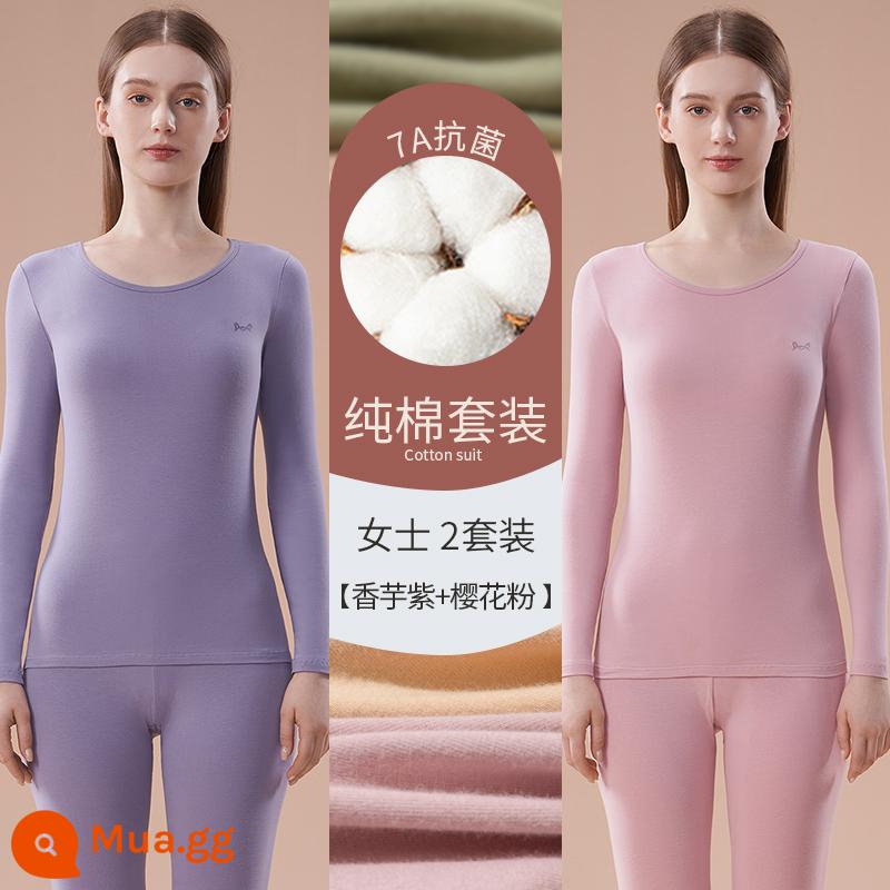 Catman Quần áo làm nóng bằng cotton nguyên chất Áo len cotton nữ có đáy bên trong Mặc quần áo mùa thu Bộ quần vệ sinh Phần mỏng kháng khuẩn mùa đông cho nữ - Bột khoai môn tím + hoa anh đào