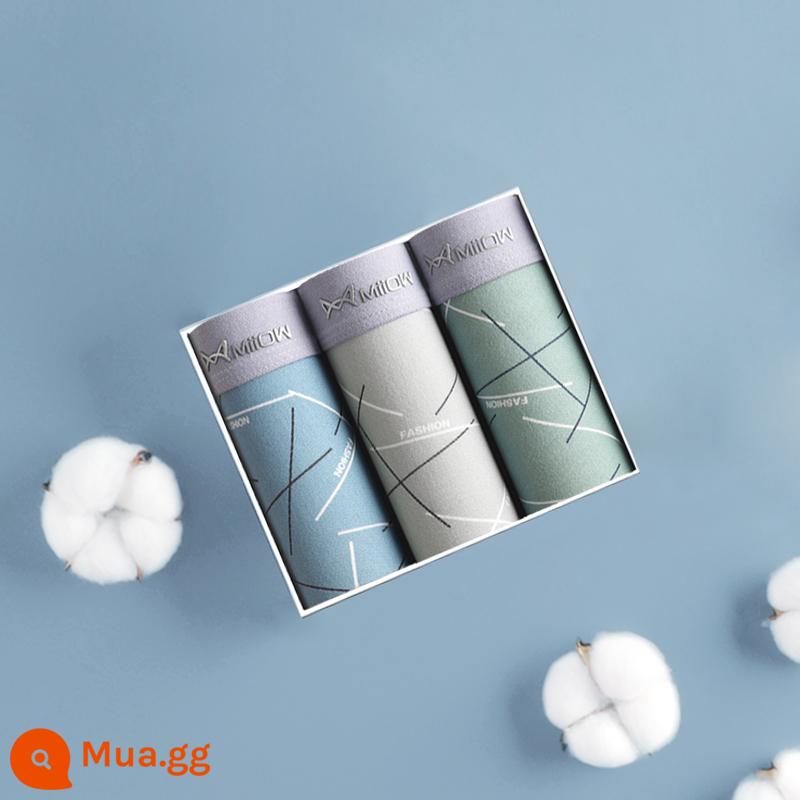 Catman Quần Lót Nam Bé Trai Modal Quần Boxer Thoáng Khí Quần Boxer Size Lớn Quần Ngắn Cotton Nguyên Chất 100% Cotton Tập Tin - 3 gói [cotton chải kỹ 80S + đũng quần kháng khuẩn graphene] xanh da trời/xám nhạt/xanh trái cây