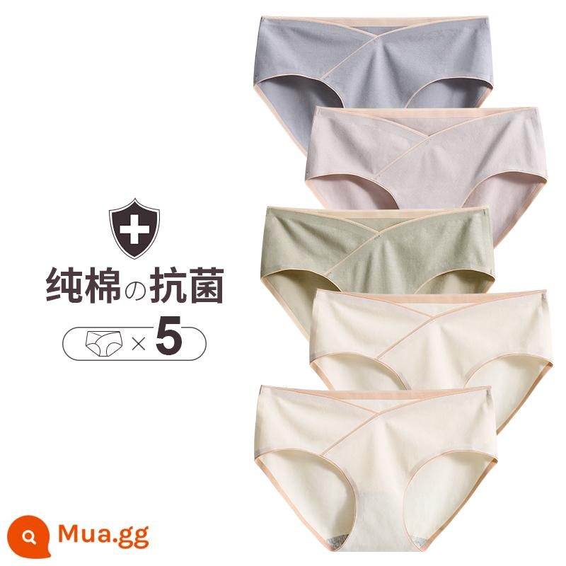 Quần lót nữ mang thai Cat People cotton nguyên chất 100% cotton đáy quần kháng khuẩn mang thai giai đoạn đầu, giữa và cuối thai kỳ quần sịp cỡ lớn - [5 gói] D xám xanh + xám nhạt + xanh đậu + trắng nhạt + trắng nhạt