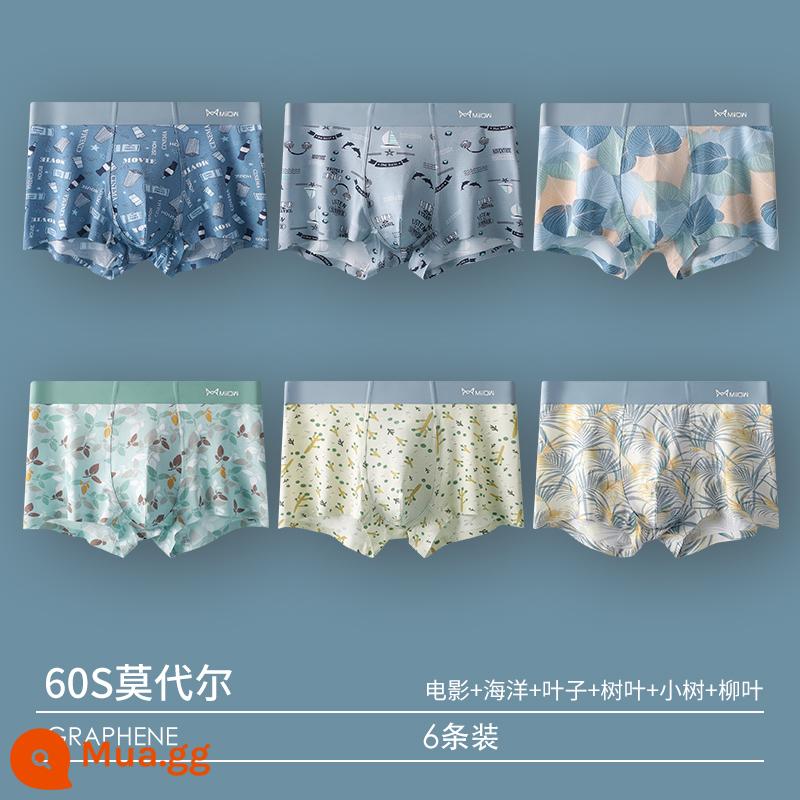 Catman Quần Lót Nam Bé Trai Quần Short Cotton Modal 100% Cotton Tập Thanh Niên Rời Thoáng Khí Quần Boxer - 6 Gói [60S Modal + Kháng khuẩn Graphene] Kết hợp 2