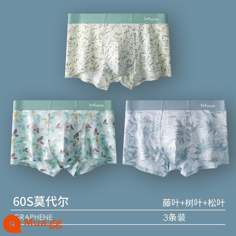 Catman Quần Lót Nam Bé Trai Quần Short Cotton Modal 100% Cotton Tập Thanh Niên Rời Thoáng Khí Quần Boxer - 3 gói [60S Modal + Kháng khuẩn Graphene] Kết hợp 15