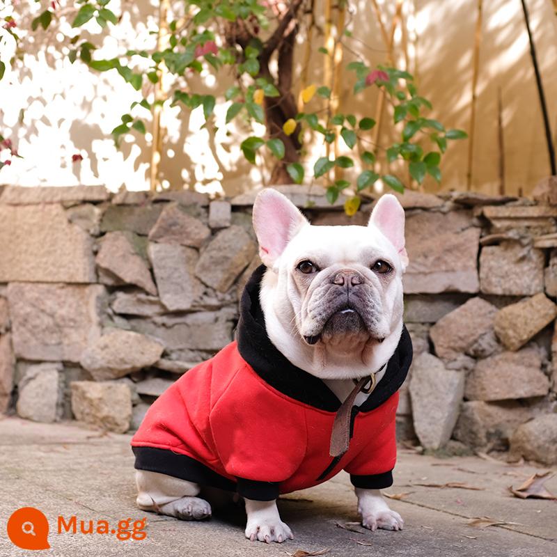 Fa Dou Dog Dog Quần áo Mùa xuân và mùa thu Bulls Bulberry Boolian vừa vừa vào mùa đông - (Lông cừu cho mùa thu đông) áo hoodie đỏ