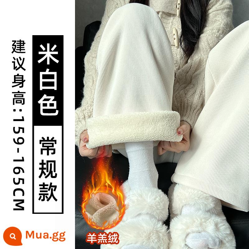 Quần ống rộng da cừu cho nữ thu đông 2023 quần cotton ấm lưng cao mới cộng với quần nhung dày ống thẳng - Sherpa màu trắng nhạt [kiểu thông thường]