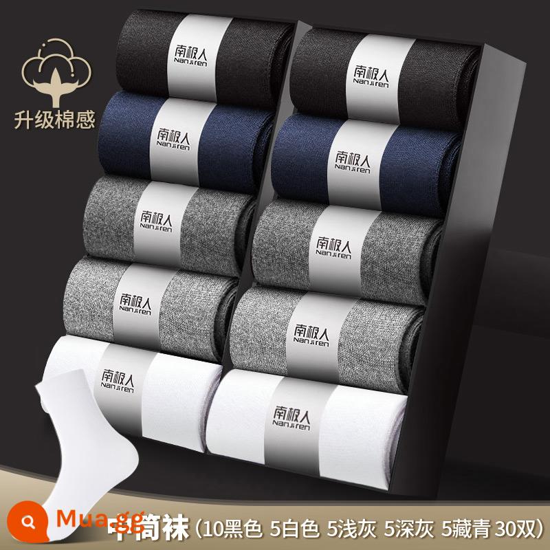 Vớ Nanjiren nam ống giữa cotton nguyên chất khử mùi thấm hút mồ hôi dày ngắn mùa thu đông vớ nam công sở màu đen - 10 đen + 5 trắng + 5 xám nhạt + 5 xám đậm + 5 xanh navy [30 đôi]